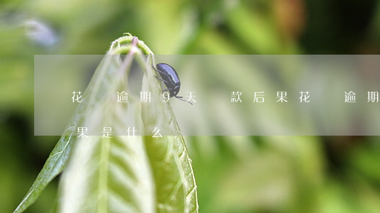 花唄逾期9天還款后果 花唄逾期9天還款后果是什么