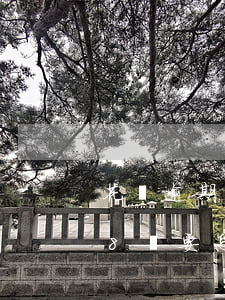 花唄逾期9萬能協(xié)商嗎(借唄逾期8萬要怎么協(xié)商)