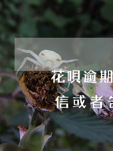 花唄 逾期 QQ郵件(花唄逾期會發(fā)短信或者告訴本人上報征信部門嗎)