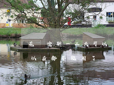 花唄逾期一二天可以嗎(花唄逾期二天是不是以后都不能用了?)