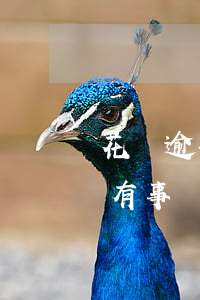花唄逾期一倆天要緊嗎(支付寶花唄逾期1天有事嗎?)