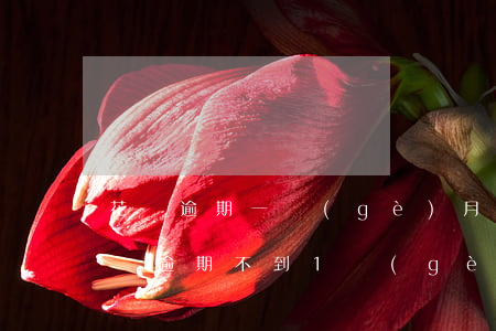 花唄逾期一個(gè)月咋恢復(fù)(花唄逾期不到1個(gè)月什么時(shí)候恢復(fù)可以用)