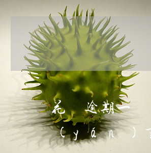 花唄逾期一個(gè)月嚴(yán)不嚴(yán)重(花唄2000逾期五個(gè)月不還會(huì)有什么后果)