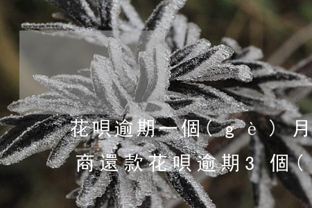 花唄逾期一個(gè)月怎么協(xié)商還款(花唄逾期3個(gè)月后還能和客服協(xié)商還款嗎)