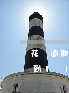 花唄逾期一個(gè)月怎么整(花唄逾期不到1個(gè)月什么時(shí)候恢復(fù)可以用)