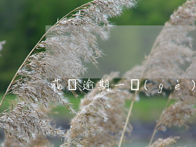 花唄逾期一個(gè)月怎么開(kāi)