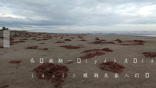 花唄逾期一個(gè)月會(huì)不會(huì)跟朋友家人打電話-花唄逾期1個(gè)月了會(huì)打聯(lián)系人電話嗎