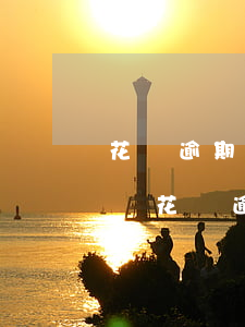 花唄逾期一個(gè)月會(huì)停用嗎(花唄逾期1個(gè)月還清后暫停使用 多久才能用)