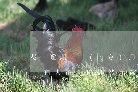 花唄逾期一個(gè)月會(huì)拉黑嗎(有人花唄逾期然后被拉銀行黑名單的嗎)