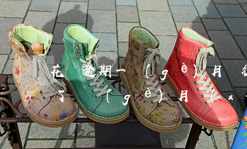 花唄逾期一個(gè)月會征信嗎(花唄逾期了幾個(gè)月,現(xiàn)在還了,會影響征信嗎)