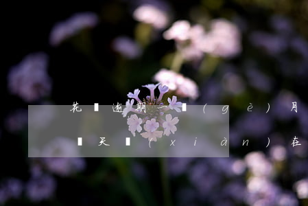 花唄逾期一個(gè)月的影響(花唄逾期了幾天,現(xiàn)在還了,會影響使用嗎)