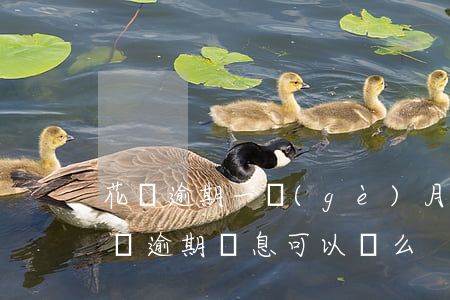 花唄逾期一個(gè)月罰息多少(支付寶花唄逾期罰息可以減么)