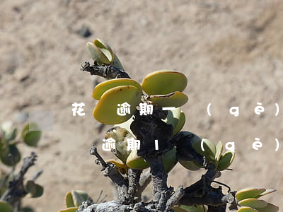 花唄逾期一個(gè)月能查通訊錄嗎-花唄逾期1個(gè)月上征信嗎?花唄逾期有什么后果