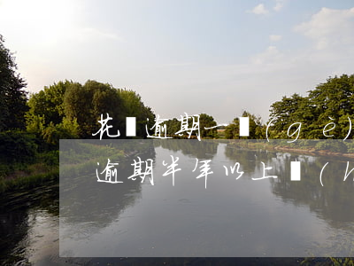 花唄逾期一個(gè)月說要打官司-花唄逾期半年以上會(huì)被打電話起訴嗎
