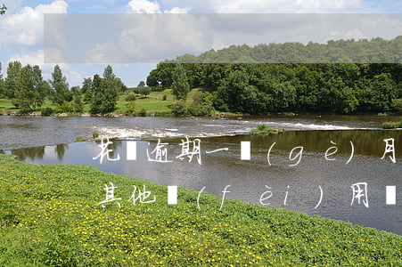 花唄逾期一個(gè)月還會(huì)收其他費(fèi)用嗎