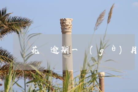花唄逾期一個(gè)月還會被起訴嗎