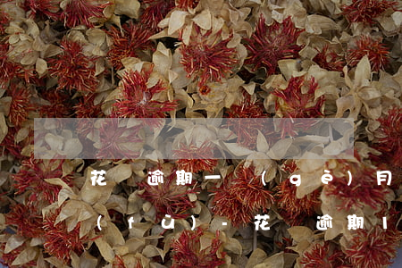 花唄逾期一個(gè)月還款之后多久恢復(fù)-花唄逾期1個(gè)月還了之后會(huì)影響信用嗎