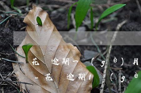 花唄逾期一個(gè)月還款后多久能重開-花唄逾期1個(gè)月還了之后會(huì)影響信用嗎