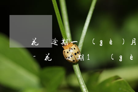 花唄逾期一個(gè)月還清了還能不能用-花唄逾期1個(gè)月還了之后還了影響征信嗎