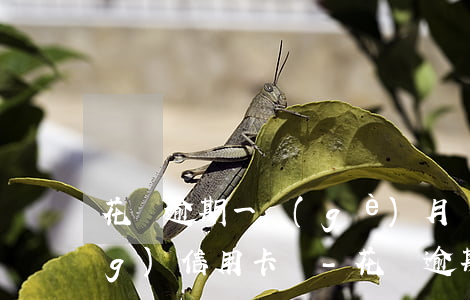 花唄逾期一個(gè)月還能申請(qǐng)信用卡嗎-花唄逾期1個(gè)月后在還以后會(huì)不會(huì)影響分期買房和車