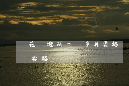 花唄逾期一個多月要起訴(花唄逾期一個多月要起訴)
