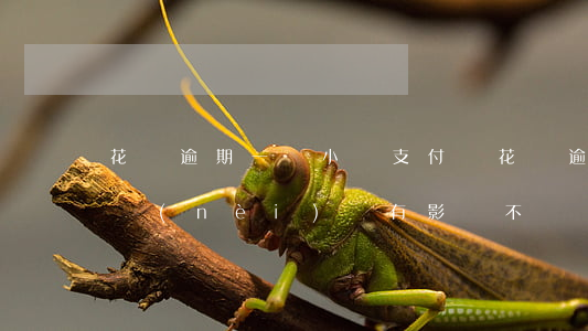 花唄 逾期一個小時(支付寶花唄逾期1個小時內(nèi)會有影響不)