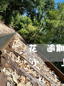 花唄逾期一個小時會上征信嗎 花唄逾期一個小時會上征信嗎