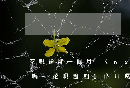 花唄逾期一個月內(nèi)還款會被拉黑嗎-花唄逾期1個月還了之后會影響信用嗎