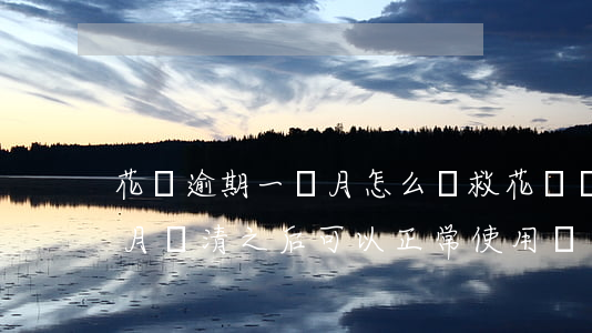 花唄逾期一個月怎么補救(花唄賬單逾期五個月還清之后可以正常使用嗎)