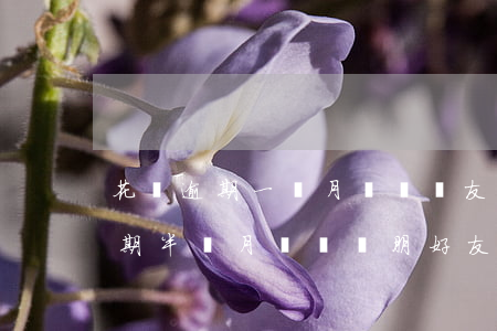 花唄逾期一個月會給親友打電話嗎-花唄逾期半個月 會給親朋好友打電話嗎
