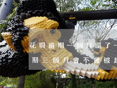 花唄逾期一個月還了一半(花唄欠款1萬多逾期三個月會不會被起訴)