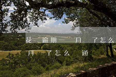 花唄逾期一個月還了怎么開通（花唄逾期一個月還了怎么開通）