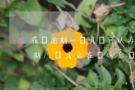 花唄逾期一個月還可以再次分期嗎-花唄逾期1個月后在還以后會不會影響分期買房和車