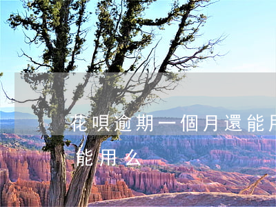 花唄逾期一個月還能用么(花唄逾期一個月還能用么)