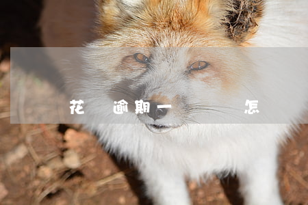 花唄逾期一個約會怎樣