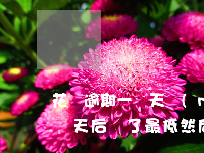 花唄逾期一兩天沒(méi)事叭(花唄逾期兩天后還了最低然后就不能用了)