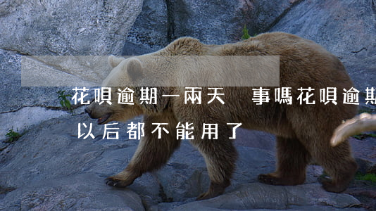 花唄逾期一兩天沒事嗎(花唄逾期兩天是不是以后都不能用了?)