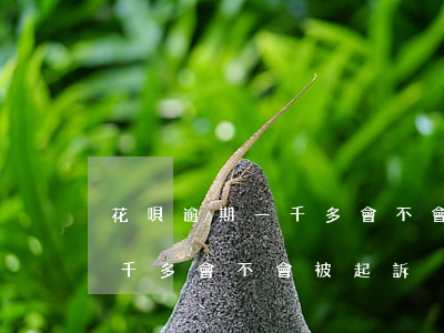 花唄逾期一千多會不會被起訴-花唄逾期一千多會不會被起訴