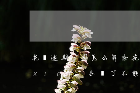 花唄逾期一周怎么解除(花唄逾期了幾天,現(xiàn)在還了,不能用了)