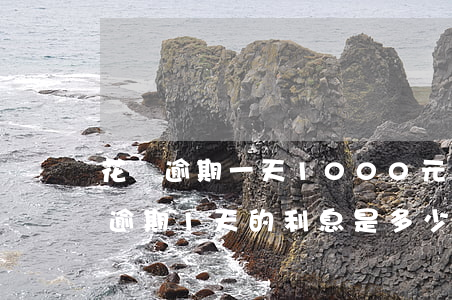 花唄逾期一天1000元利息是多少-花唄逾期1天的利息是多少