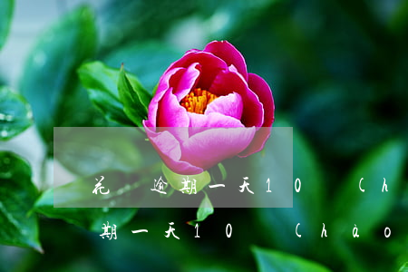花唄逾期一天10號(hào)還的(花唄逾期一天10號(hào)還的)