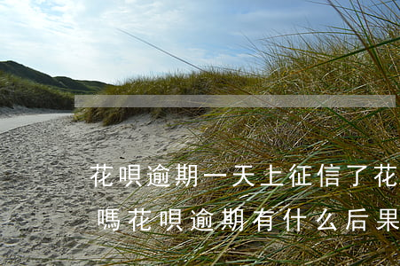 花唄逾期一天上征信了(花唄逾期1天上征信嗎?花唄逾期有什么后果)
