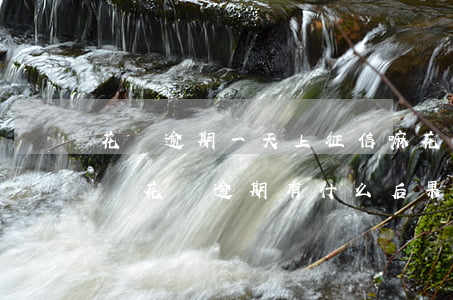 花唄逾期一天上征信嘛(花唄逾期1天上征信嗎?花唄逾期有什么后果)