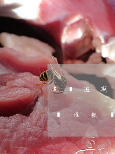 花唄逾期一天上門催還款(支付寶花唄逾期上門催款會說什么?)