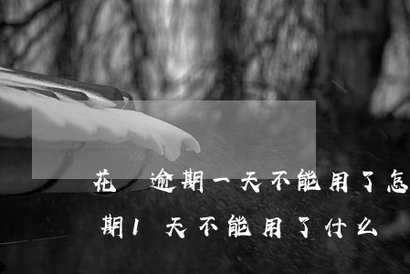 花唄逾期一天不能用了怎么再使用-花唄逾期1天不能用了什么時(shí)候恢復(fù)可以用