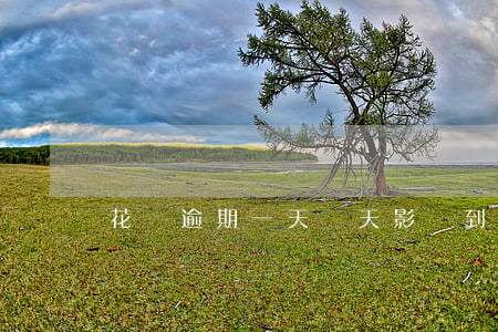 花唄逾期一天兩天影響到花唄嗎-