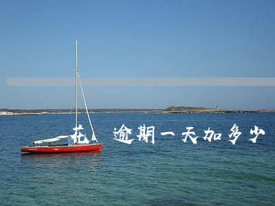 花唄逾期一天加多少錢(花唄逾期一天加多少錢)
