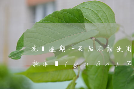 花唄逾期一天后不能使用(花唄逾期30天后 就永遠(yuǎn)不能使用了嗎?)