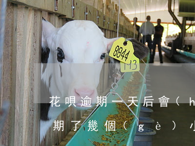 花唄逾期一天后會(huì)怎么樣(花唄逾期了幾個(gè)小時(shí)會(huì)有不良后果嗎)