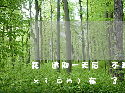 花唄逾期一天后還不起 花唄逾期了1天現(xiàn)在還了,會影響征信嗎